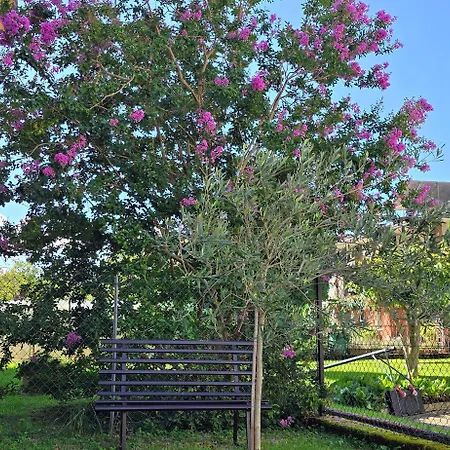 Confortevole A Lägenhet Belluno